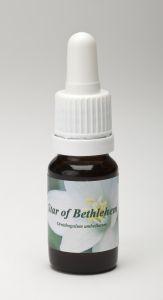 Star Remedies Star of Bethlehem