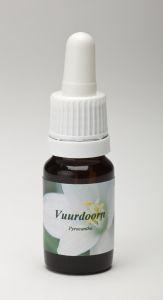 Star Remedies Vuurdoorn