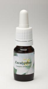 Star Remedies Eucalyptus