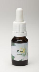 Star Remedies Roos