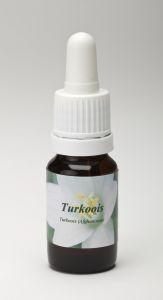 Star Remedies Turkoois