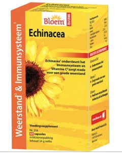 Bloem Echinacea extra
