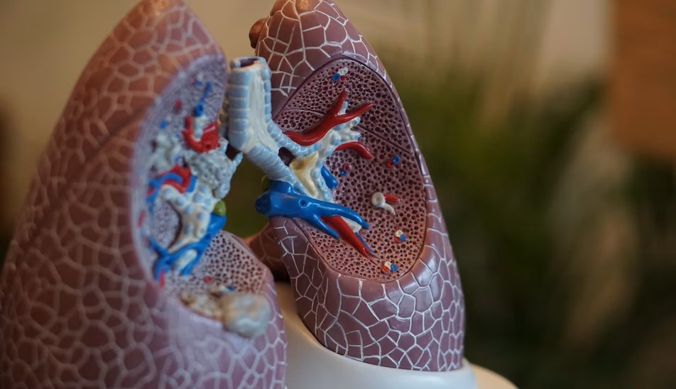 COPD: afvallen of aankomen?