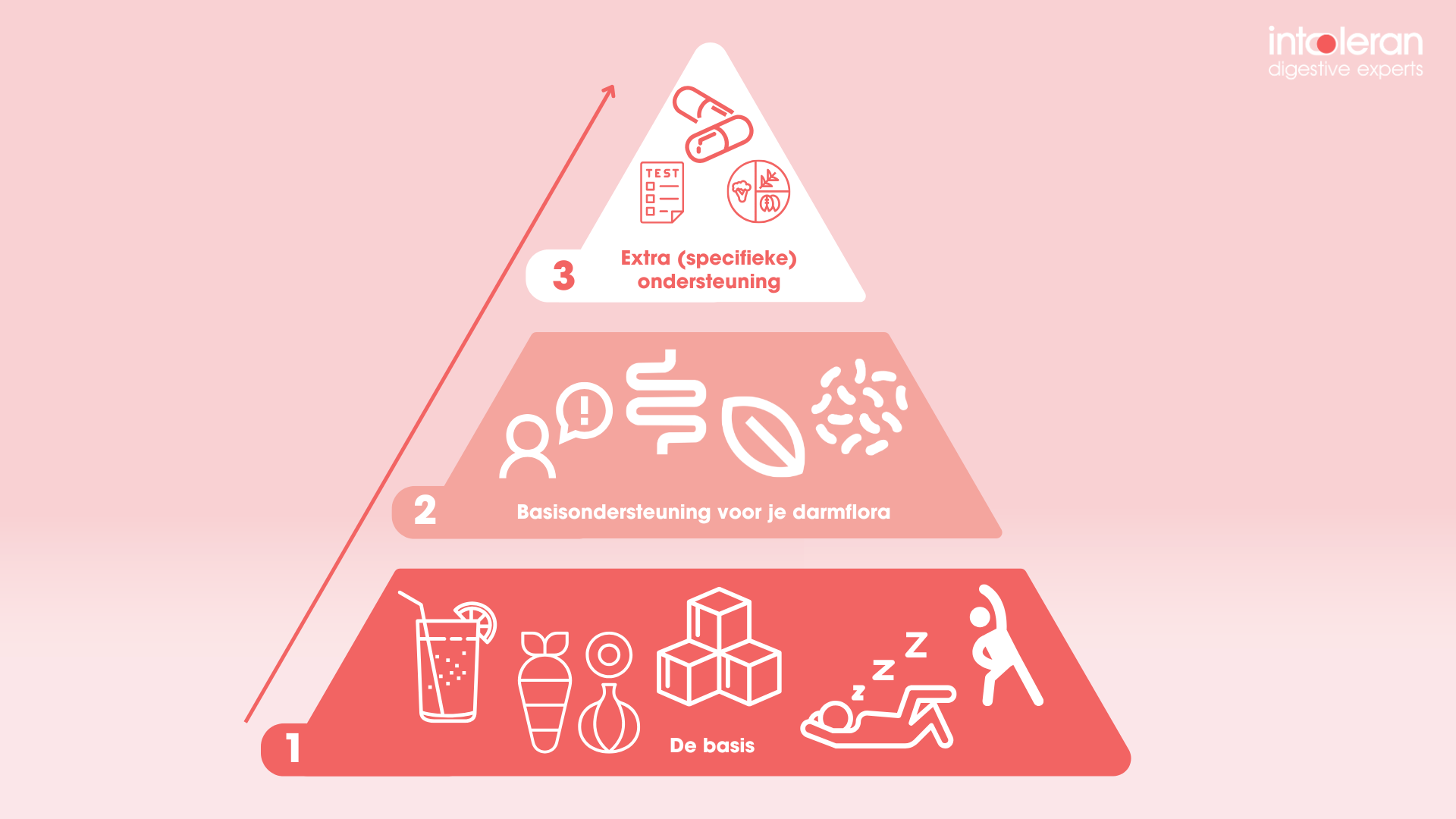 piramide van darmondersteuning